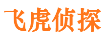 咸丰私家调查公司